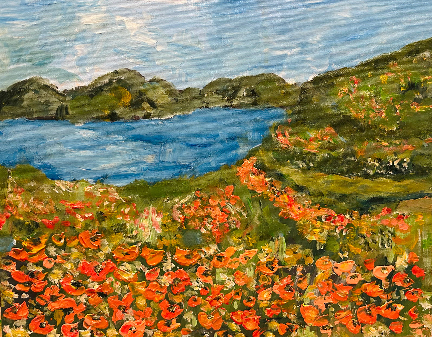 Diamond Valley Lake California Poppies, 11" x 14"